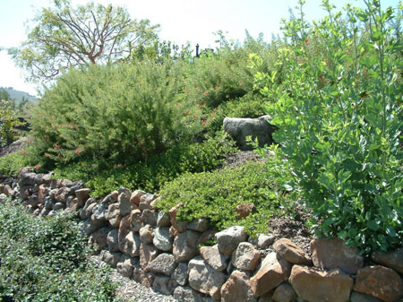 Hillside held by rocks